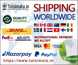 Tulsi Kanthi Mala ISKCON