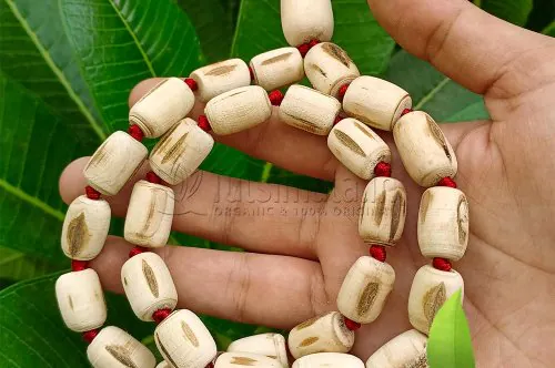Advantages and Disadvantages of Basil (Original Tulsi Mala)