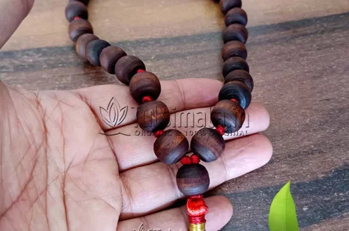 Tulsi Puja Ke Niyam: इस दिन भूलकर भी स्पर्श न करें तुलसी, मां लक्ष्मी हो सकती हैं नाराज