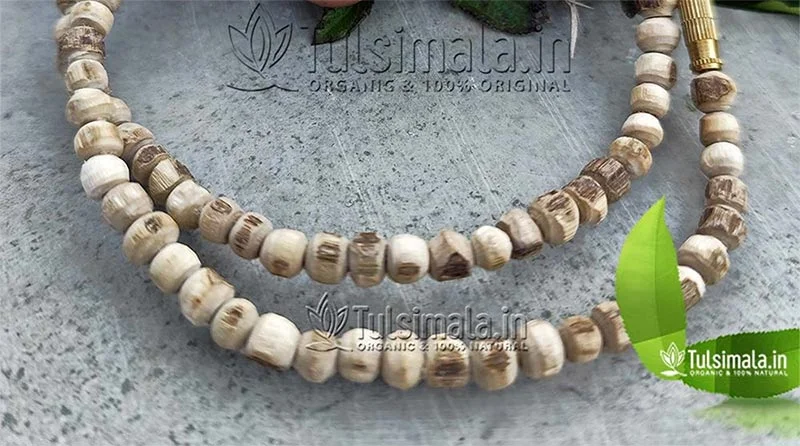 KANTHI MALA (TULASI MALA) - PROCEDURE & RULES TO WEAR TULSI KANTHI MALA