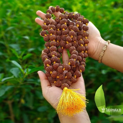 Rudraksha Mala