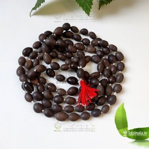 Kamal gatta mala Original, Lotus mala, Original 108 Lotus Seeds Kamal Gatta Mala for Japa, Laxmi Pooja and Wearing