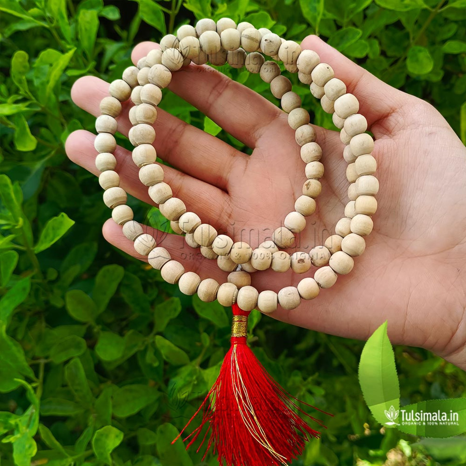 Tulsi Bracelet Radha Engraved, Tulasi Bracelet, Pure Tulsi Beads, Holy  Basil Seeds - Etsy