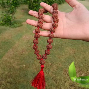 Nepal 7 Mukhi Original Rudraksha 27+1 Beads Japa Mala 3