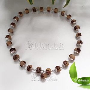 Buy Rudraksha Bracelet Online in India  Parthpooja
