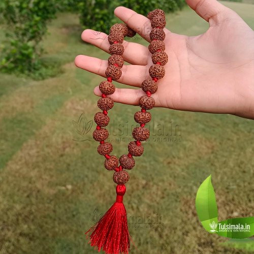 Nepal 7 Mukhi Original Rudraksha 27+1 Beads Japa Mala