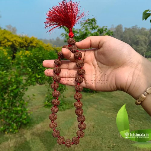 Nepal 7 Mukhi Original Rudraksha 27+1 Beads Japa Mala