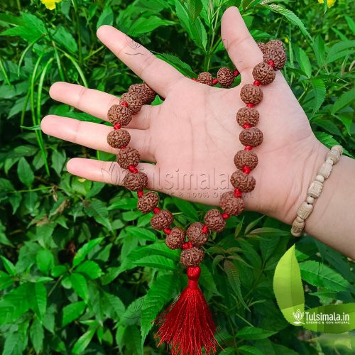 Nepal 7 Mukhi Original Rudraksha 27+1 Beads Japa Mala