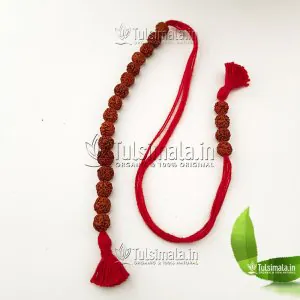 Pure Rudraksha Shakshi Mala 8mm Beads Size