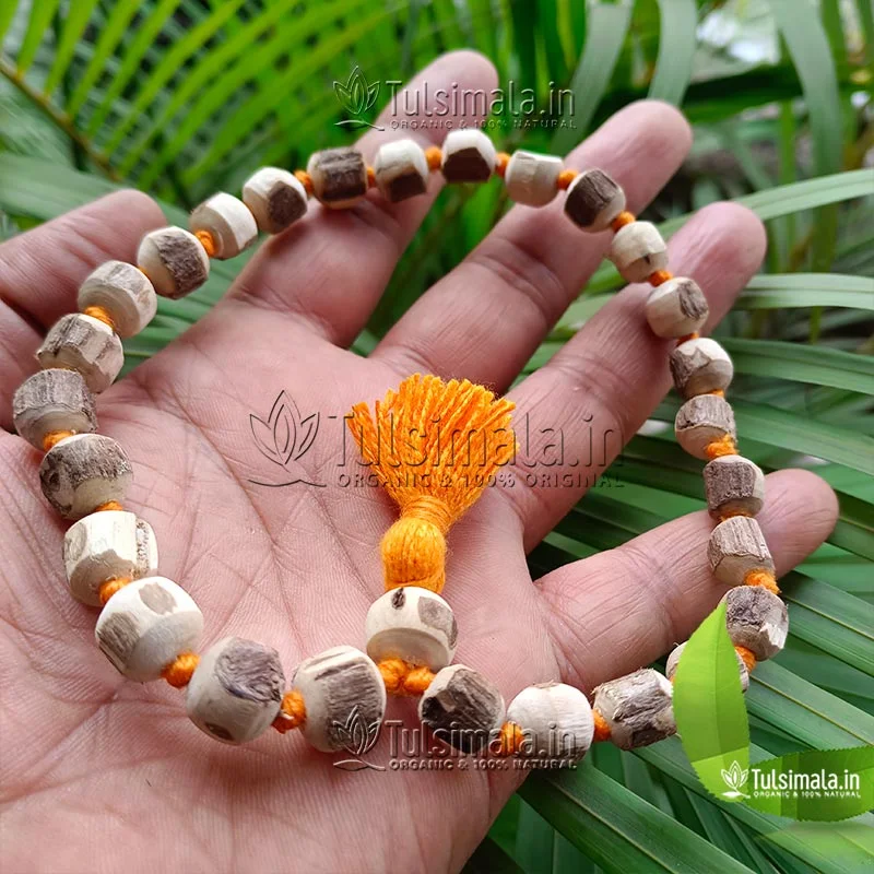 27+1 Tulsi Jaap Mala Cum Hand Bracelet 10 mm  Bead Size