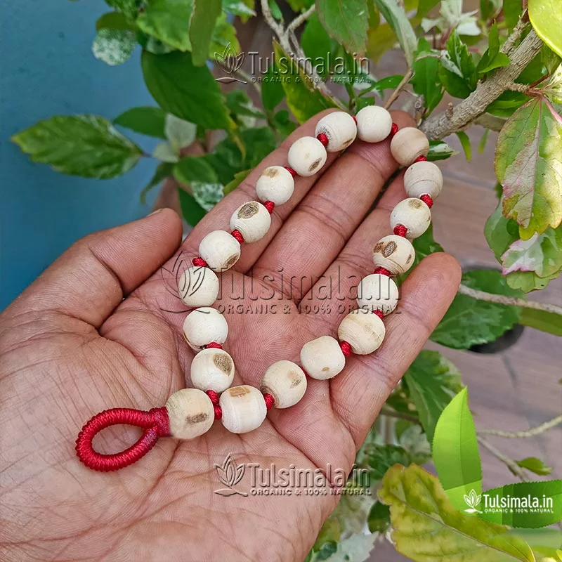 18+1 Beads Berakha ISKCON Tulsi Japa Mala 12mm Beads Size