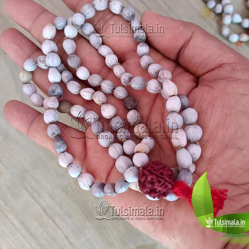 Original Vaijanti Mala Buy Online - Tulsimala.in