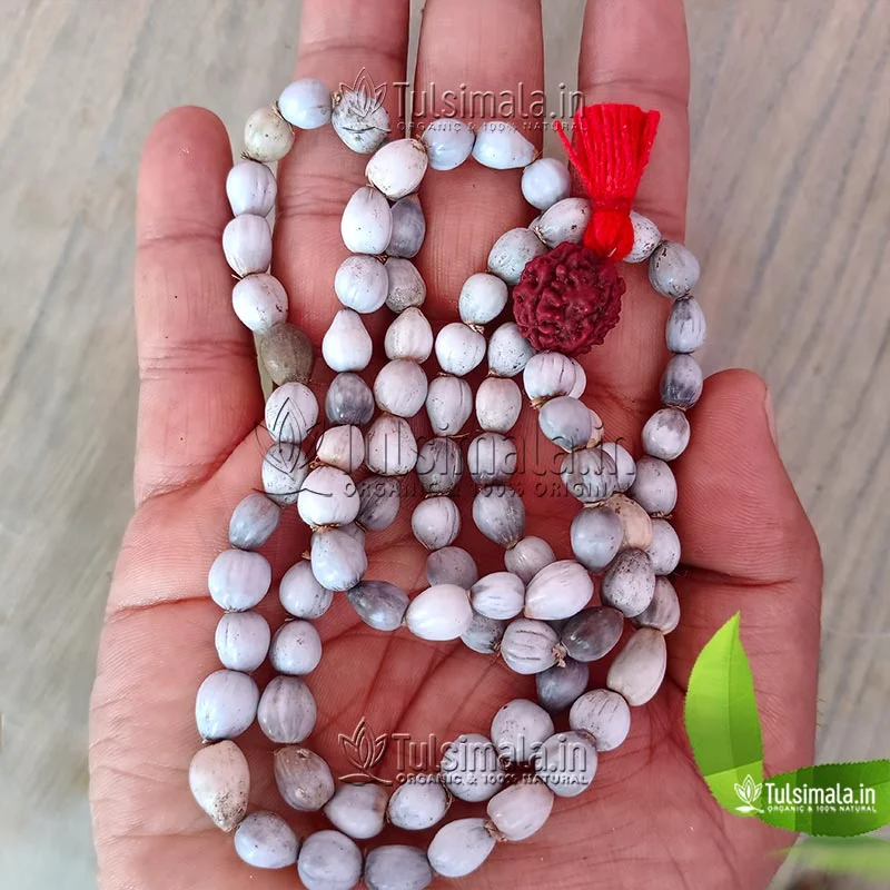 Original Vaijanti Mala Buy Online - Tulsimala.in
