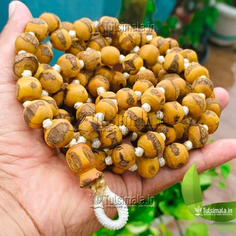 108+1 ISKCON Tulasi Japa Mala 16mm Bead Size